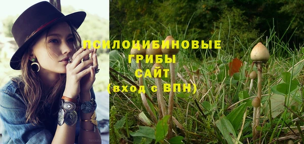 прущая мука Абаза
