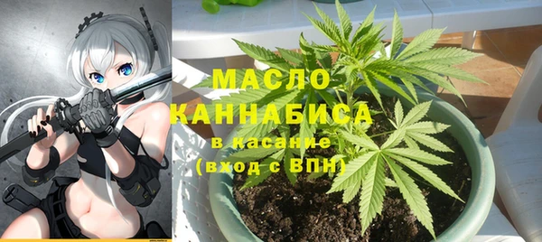 дмт Няндома