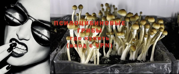 твердый Нязепетровск