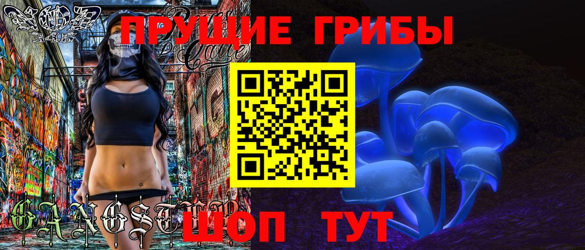 Псилоцибиновые грибы Psilocybine cubensis Дербент