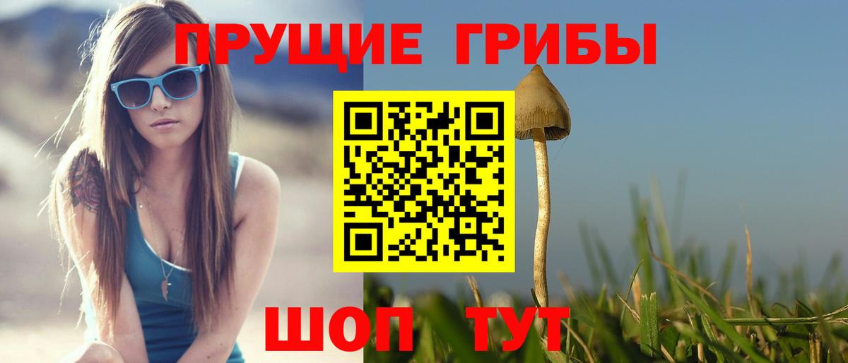 Дербент  Галлюциногенные грибы прущие грибы  Вход с VPN  Псилоцибиновые грибы мицелий 